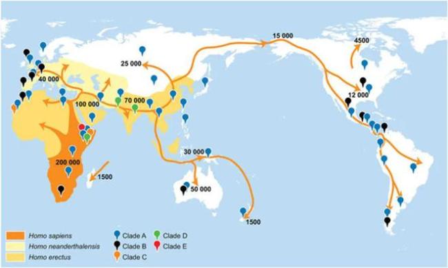 癌细胞转移时，爱往哪里跑？