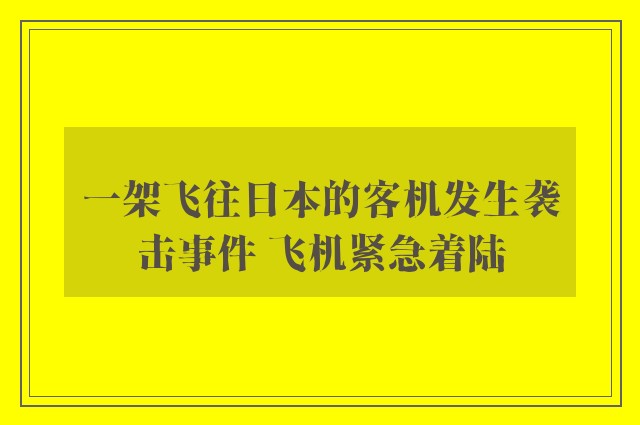 一架飞往日本的客机发生袭击事件 飞机紧急着陆