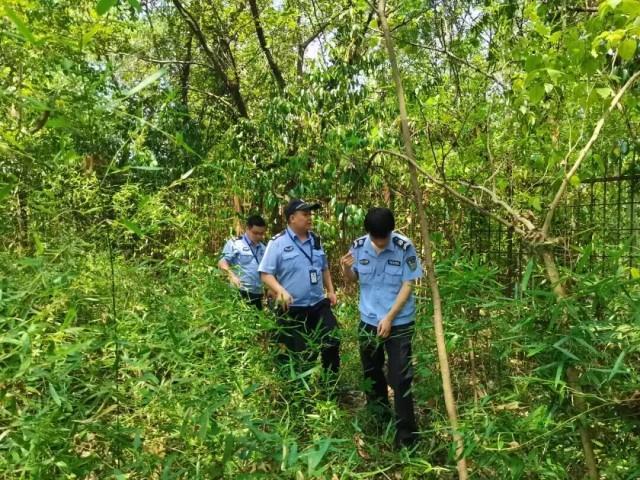 少年赌气出走被困野外 民警搜寻70小时救回 生命奇迹于湿地孤岛