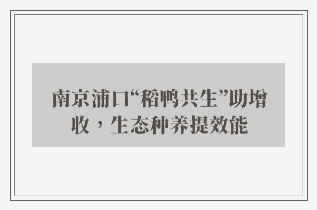 南京浦口“稻鸭共生”助增收，生态种养提效能