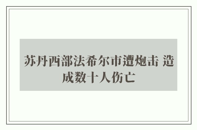 苏丹西部法希尔市遭炮击 造成数十人伤亡