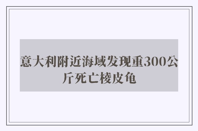 意大利附近海域发现重300公斤死亡棱皮龟