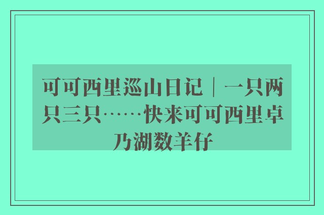 可可西里巡山日记｜一只两只三只……快来可可西里卓乃湖数羊仔