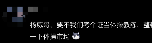 杨威回应网友让其考裁判证 晒2斤多证书述辛路历程