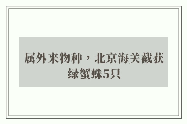 属外来物种，北京海关截获绿蟹蛛5只