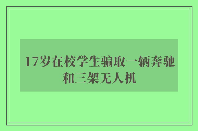 17岁在校学生骗取一辆奔驰和三架无人机