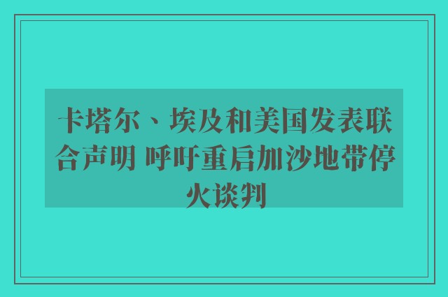 卡塔尔、埃及和美国发表联合声明 呼吁重启加沙地带停火谈判