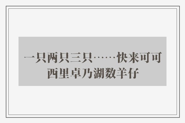 一只两只三只……快来可可西里卓乃湖数羊仔