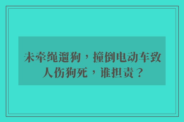 未牵绳遛狗，撞倒电动车致人伤狗死，谁担责？