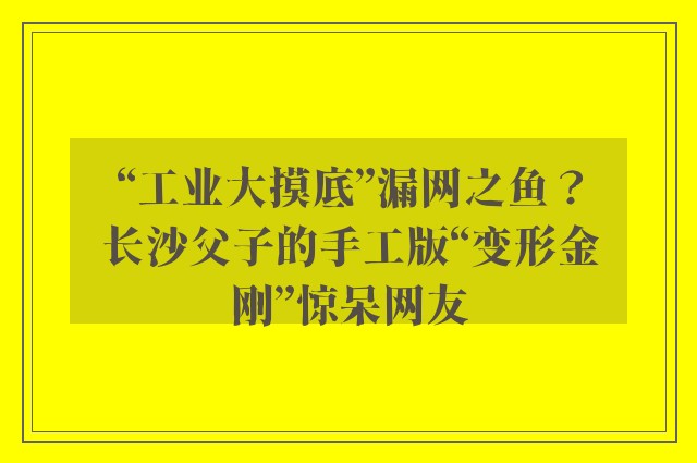 “工业大摸底”漏网之鱼？长沙父子的手工版“变形金刚”惊呆网友