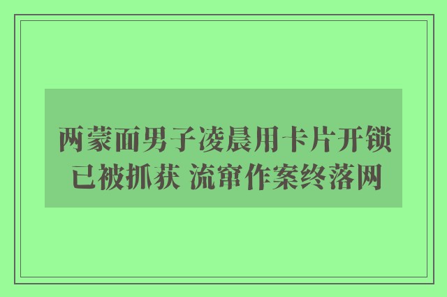 两蒙面男子凌晨用卡片开锁已被抓获 流窜作案终落网