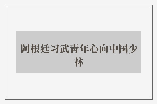 阿根廷习武青年心向中国少林