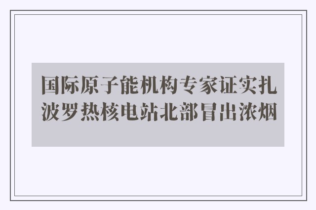 国际原子能机构专家证实扎波罗热核电站北部冒出浓烟