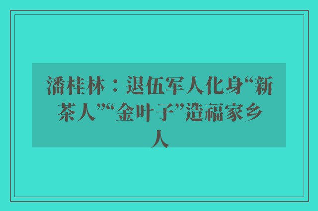 潘桂林：退伍军人化身“新茶人”“金叶子”造福家乡人