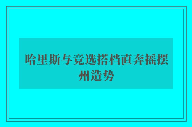 哈里斯与竞选搭档直奔摇摆州造势