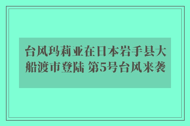 台风玛莉亚在日本岩手县大船渡市登陆 第5号台风来袭