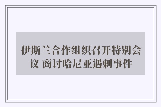 伊斯兰合作组织召开特别会议 商讨哈尼亚遇刺事件