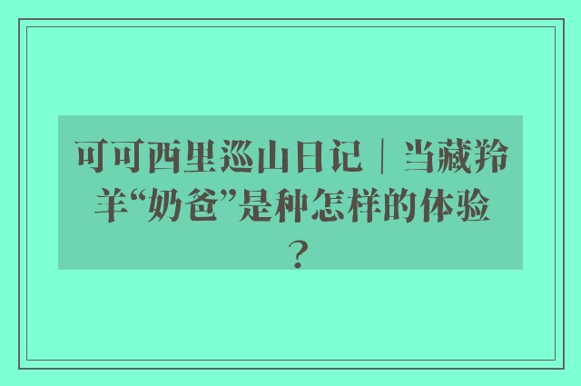 可可西里巡山日记｜当藏羚羊“奶爸”是种怎样的体验？