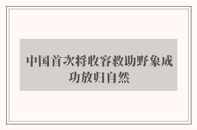 中国首次将收容救助野象成功放归自然