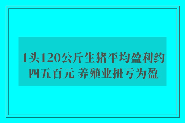 1头120公斤生猪平均盈利约四五百元 养殖业扭亏为盈