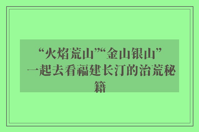 “火焰荒山”“金山银山” 一起去看福建长汀的治荒秘籍