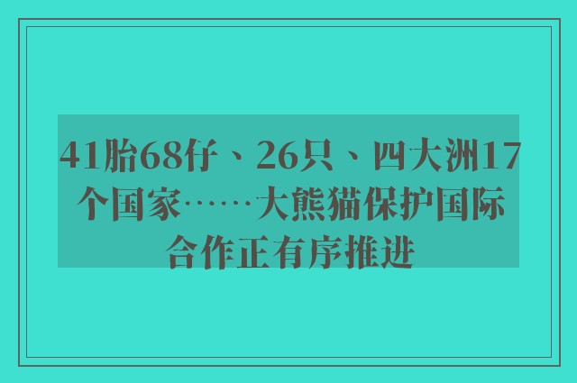 41胎68仔、26只、四大洲17个国家……大熊猫保护国际合作正有序推进