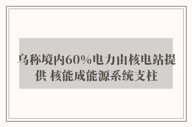 乌称境内60%电力由核电站提供 核能成能源系统支柱