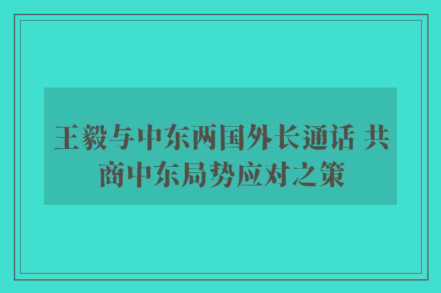 王毅与中东两国外长通话 共商中东局势应对之策