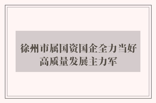 徐州市属国资国企全力当好高质量发展主力军