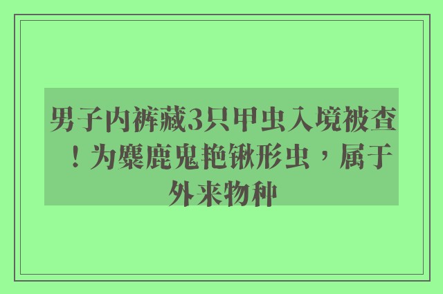 男子内裤藏3只甲虫入境被查！为麋鹿鬼艳锹形虫，属于外来物种