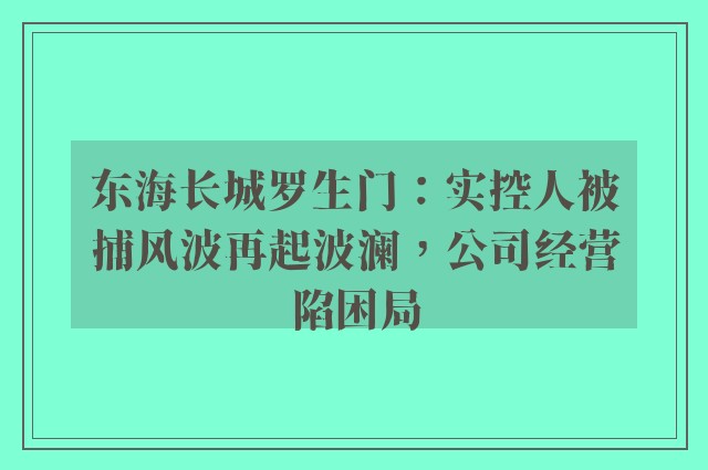 东海长城罗生门：实控人被捕风波再起波澜，公司经营陷困局