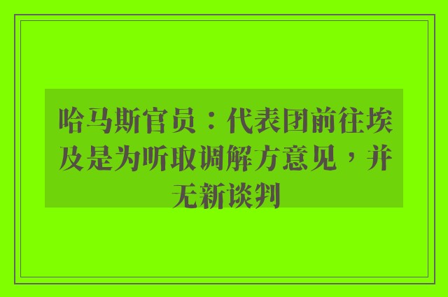 哈马斯官员：代表团前往埃及是为听取调解方意见，并无新谈判