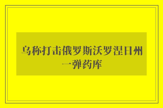 乌称打击俄罗斯沃罗涅日州一弹药库