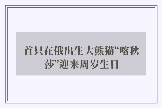 首只在俄出生大熊猫“喀秋莎”迎来周岁生日