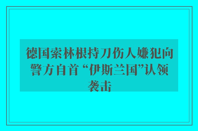 德国索林根持刀伤人嫌犯向警方自首 “伊斯兰国”认领袭击