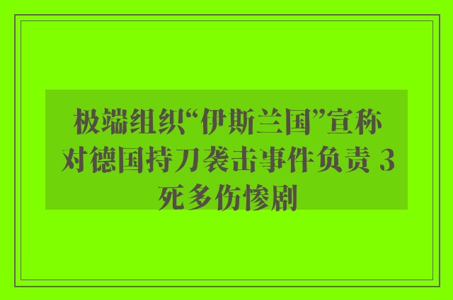 极端组织“伊斯兰国”宣称对德国持刀袭击事件负责 3死多伤惨剧