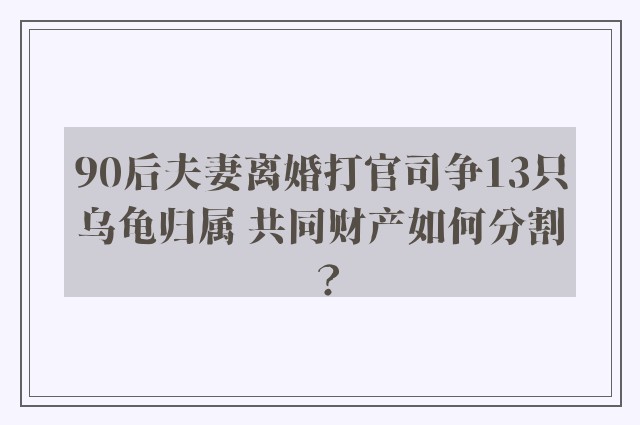 90后夫妻离婚打官司争13只乌龟归属 共同财产如何分割？