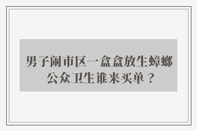 男子闹市区一盒盒放生蟑螂 公众卫生谁来买单？