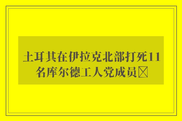 土耳其在伊拉克北部打死11名库尔德工人党成员​