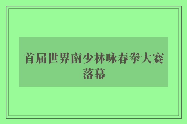 首届世界南少林咏春拳大赛落幕