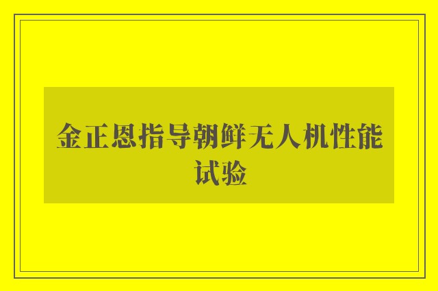 金正恩指导朝鲜无人机性能试验