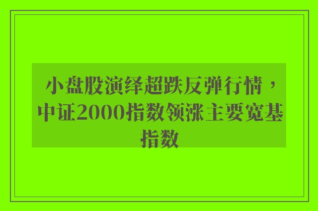 小盘股演绎超跌反弹行情，中证2000指数领涨主要宽基指数