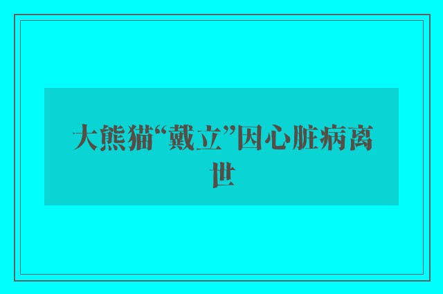 大熊猫“戴立”因心脏病离世