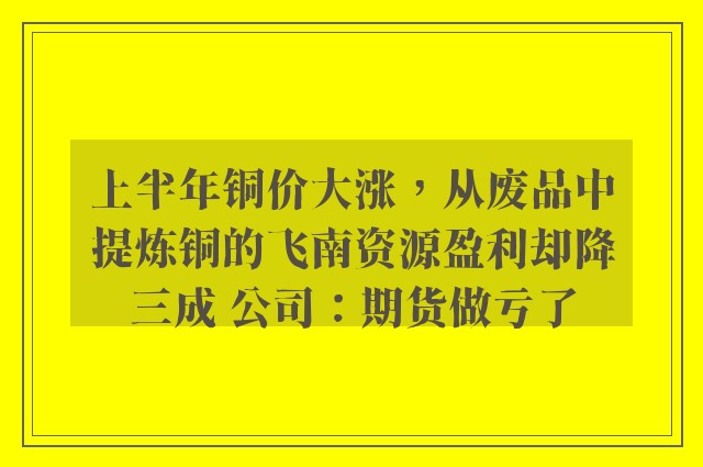 上半年铜价大涨，从废品中提炼铜的飞南资源盈利却降三成 公司：期货做亏了