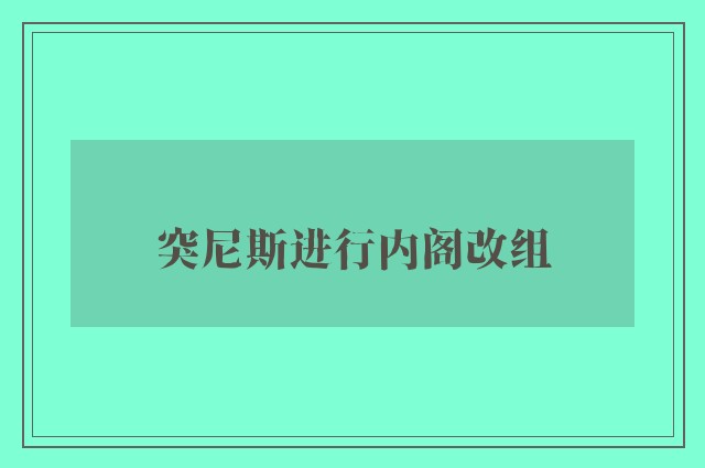 突尼斯进行内阁改组