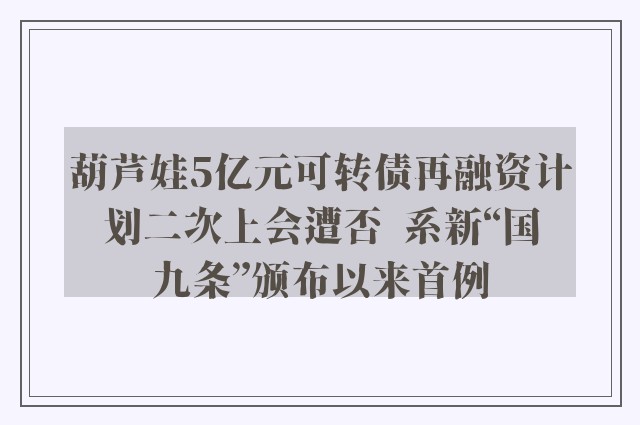 葫芦娃5亿元可转债再融资计划二次上会遭否  系新“国九条”颁布以来首例