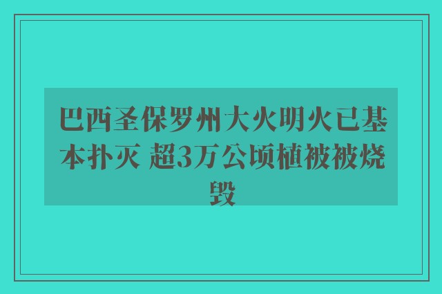 巴西圣保罗州大火明火已基本扑灭 超3万公顷植被被烧毁