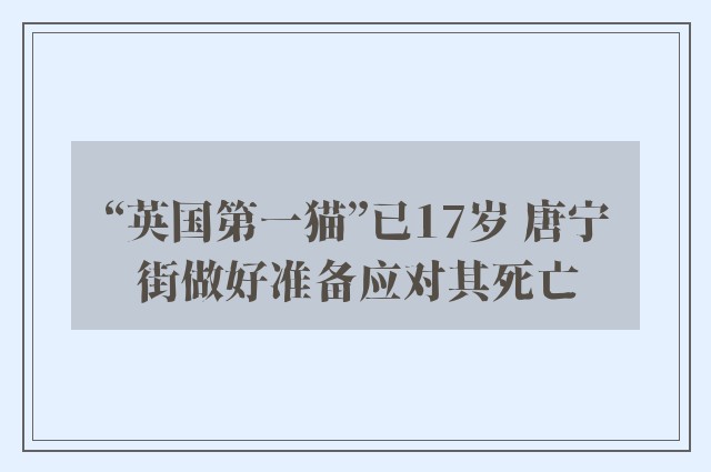 “英国第一猫”已17岁 唐宁街做好准备应对其死亡