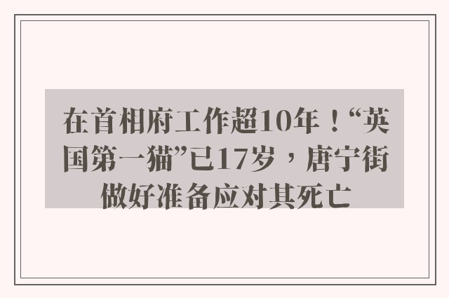 在首相府工作超10年！“英国第一猫”已17岁，唐宁街做好准备应对其死亡