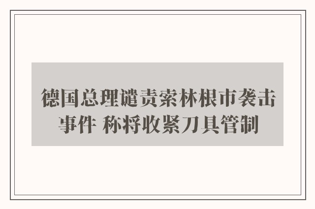 德国总理谴责索林根市袭击事件 称将收紧刀具管制